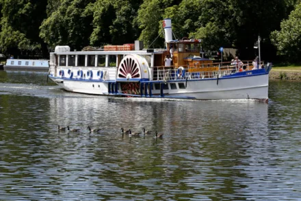 Old heritage style blue and white boat along the riverside with swans and geese in foreground