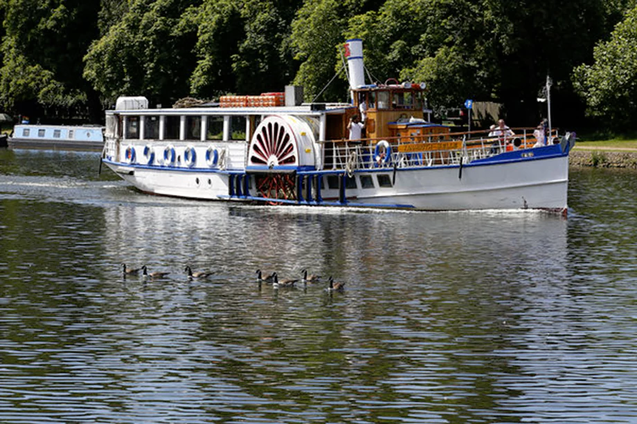 Old heritage style blue and white boat along the riverside with swans and geese in foreground