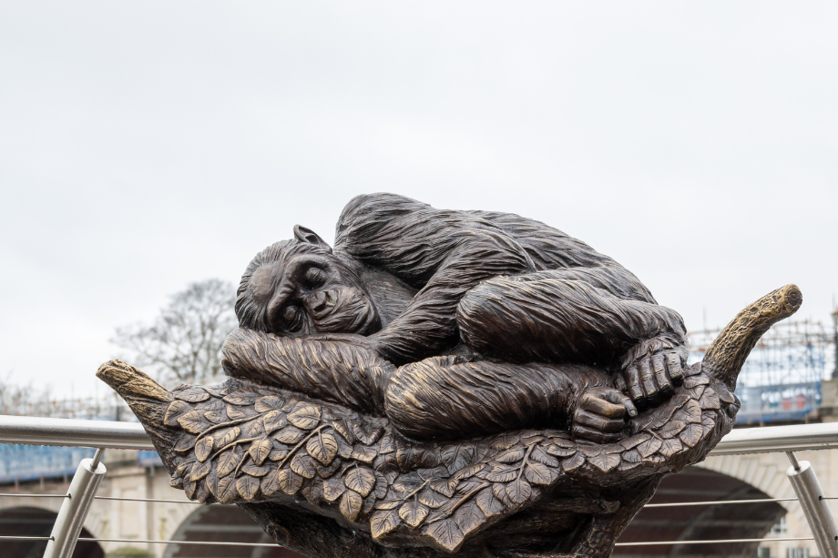 One of the chimp sculptures as part of the Chimps Are Family exhibition